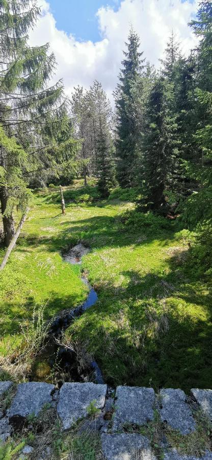 Apartmany Na Ceste Десна Екстер'єр фото