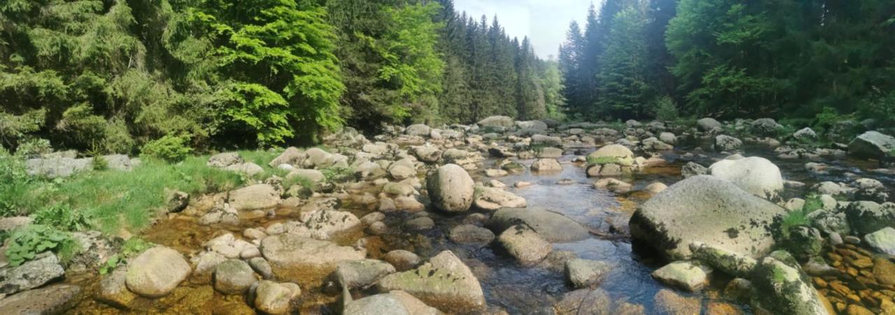 Apartmany Na Ceste Десна Екстер'єр фото