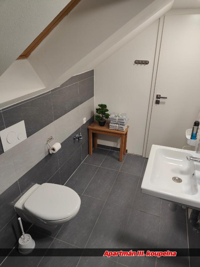Apartmany Na Ceste Десна Екстер'єр фото