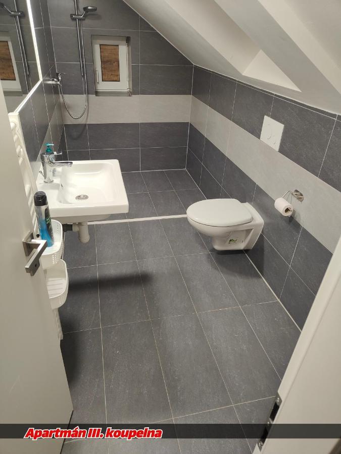Apartmany Na Ceste Десна Екстер'єр фото